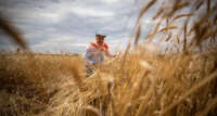 Tarım-GFE yıllık yüzde 105,70 arttı