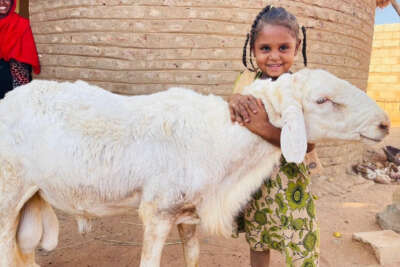 2022 yılı kurban vekalet ücretleri belli oldu