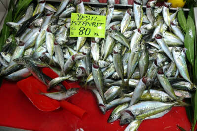 Çanakkale'de balık tezgahlarında fiyatlar arttı