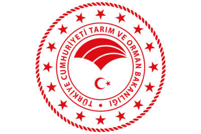 Hazine ve Maliye Bakanlığı'ndan BDDK kararı ile ilgili açıklama