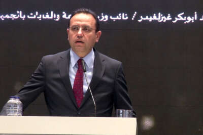 Tarım ve Orman Bakan Yardımcısı Gizligider: 'Tarımsal hasılada Türkiye Avrupa’da birinci, dünyada ilk 10 sıradadır'