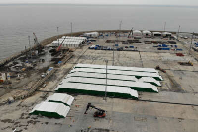 Türkiye tarihinin en büyük keşfinde ilk borular döşeniyor