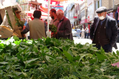 Van’da sebze fideleri yoğun talep görüyor