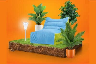 Bahçe ve balkon ürünlerinde en çok tercih edilenler