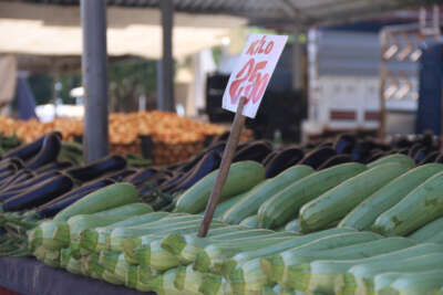 Pazardan, 3,1 milyon TL tohum yatırım aldı