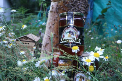 Rize’nin dünyaca ünlü Anzer balı 2 bin TL oldu