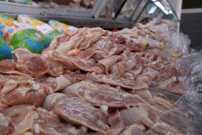 Tavuk eti üretimi yüzde 11,6 arttı