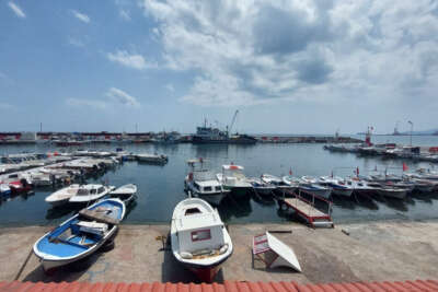 Eylül’e sayılı günler kaldı: Palamut bolluğu bekleniyor