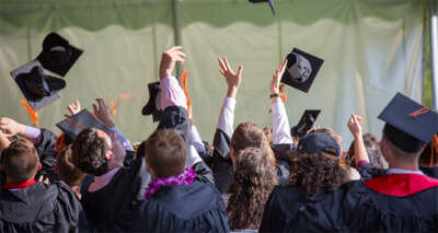 Üniversite mezunlarının yüzde 71,1’i işe girdi