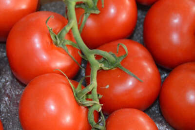 Domates ihracatı izne bağlandı
