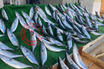 Olumsuz deniz koşulları balığın fiyatını artırdı