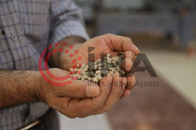 'Orman ürünleri ziyan olmasın' diye pelet fabrikası kurdu