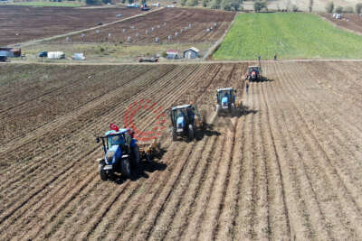Hasat sonrası akına uğradı, kışlık patates ihtiyaçlarını ücretsiz elde ettiler