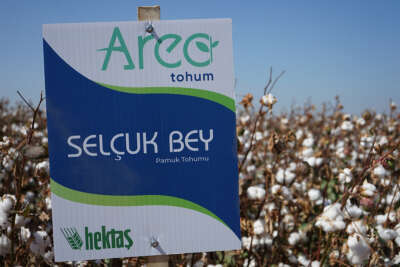Hektaş, Dünya Pamuk Günü’nde iki milli tohumunu duyurdu