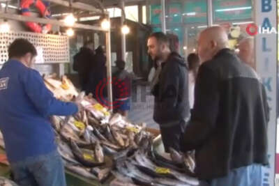 Palamudun fiyatı düştü, vatandaşlar balık tezgahlarına akın etti