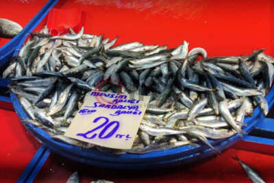 Sardalya 20 liraya düştü, vatandaşlar poşetleri doldurdu