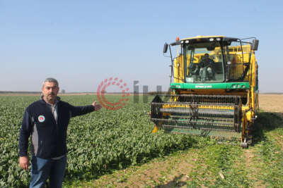 Türkiye’nin ıspanak ihtiyacının dörtte birini Bursa karşılıyor