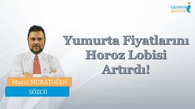 Murat muratoğlu - Yumurta Fiyatlarını Horoz Lobisi Artırdı! [Ekonomi Mektebi]