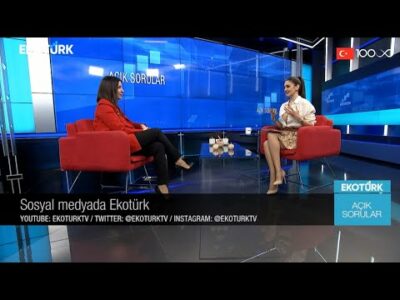 Açık Sorular | Gülcan Altınay | Öykü Cengiz