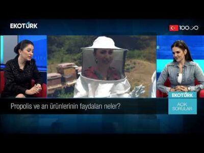 Açık Sorular | Dr. Aslı Elif Tanuğur Samancı | Öykü Cengiz