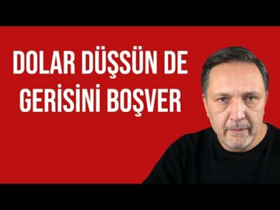 Dolar düşsün de gerisini boşver l selçuk geçer