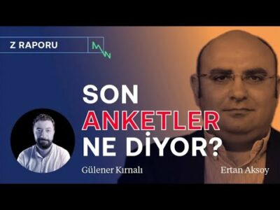 Son anketler: Kim önde? & Seçim ilk turda biter mi? | Ertan Aksoy | Z RAPORU
