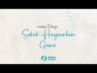 4 Nisan Dünya Sokak Hayvanları Günü