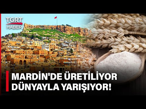 Mardin’den Türkiye Ekonomisine Dev Katkı! Üretimi Dünyayla Yarışıyor – TGRT Haber
