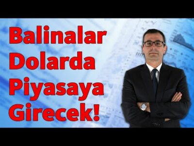 Balinalar Dolarda Piyasaya Girecek!