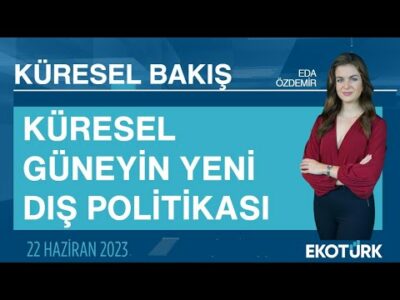 Küresel Bakış | Evren Çelik Wiltse | Eda Özdemir