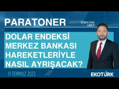 Serdar Pazı | Kudret Ayyıldır | Eren Can Umut | Paratoner