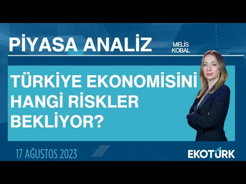 Türkiye ekonomisini hangi riskler bekliyor? | Melis Kobal | Piyasa Analiz