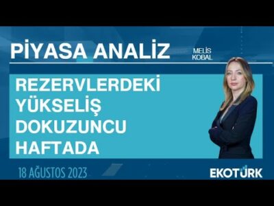 Rezervlerdeki yükseliş dokuzuncu haftada | Melis Kobal | Piyasa Analiz