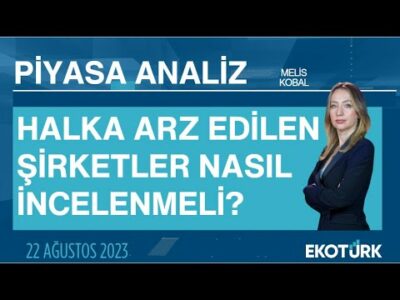 Halka arz edilen şirketler nasıl incelenmeli? | Melis Kobal | Piyasa Analiz