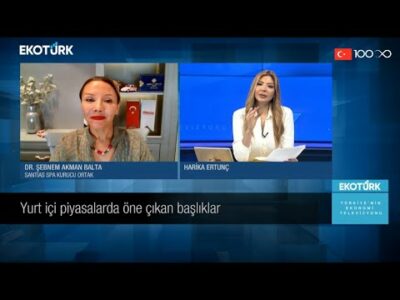 Turizm sektöründe ne tür sorunlar var? | Harika Ertunç | Gün Sonu