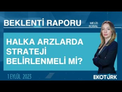 Halka arzlarda strateji belirlenmeli mi? | Melis Kobal | Beklenti Raporu
