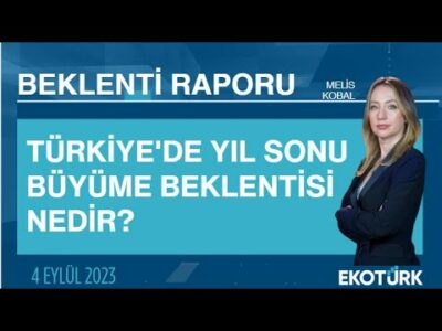 Türkiye'de yıl sonu büyüme beklentisi nedir? | Melis Kobal | Beklenti Raporu