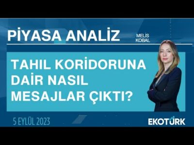 Tahıl koridoruna dair nasıl mesajlar çıktı? | Melis Kobal | Piyasa Analiz