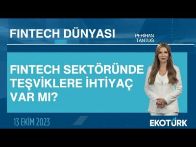 Fintech sektöründe teşviklere ihtiyaç var mı? | Fintech Dünyası | Perihan Tantuğ