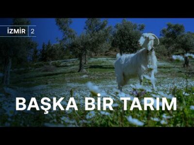 Başka bir tarım ve hayvancılık mümkün: Kalkınmacı ve sürdürülebilir bir çözüm | Mera İzmir