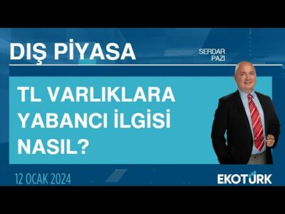 TL varlıklara yabancı ilgisi nasıl? | Serdar Pazı | Dış Piyasa