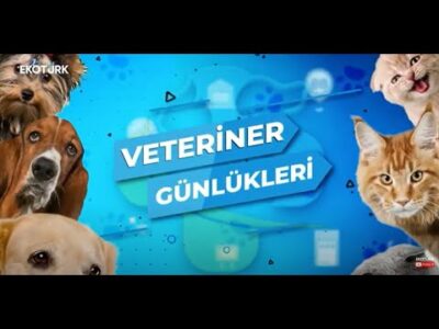 Veteriner Hekim Dr. Ateş Barut | Veteriner Günlükleri | 1.Bölüm