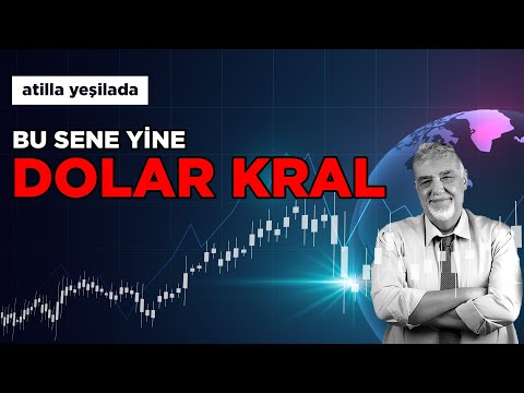 Dünyada Kral Dolar, Türkiye’de TL