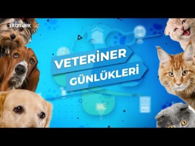 Veteriner Günlükleri | 8.Bölüm
