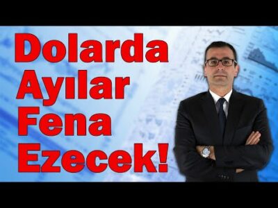 Dolarda Ayılar Fena Ezecek!