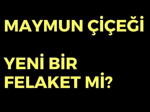 Maymun Çiçeği Yeni Bir Felaket mi? – Dünyanın Haberi 440 – 16.08.2024