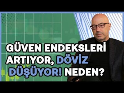 Ekonomiye güven artıyor! Döviz sakin, enflasyon yüksek, resesyon yok | Haluk Bürümcekçi