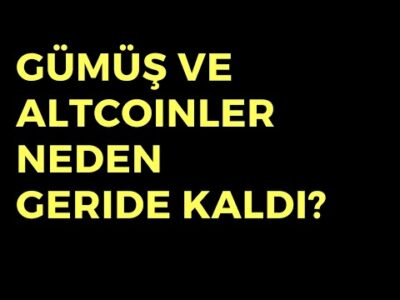 Gümüş ve Altcoinler Neden Geride Kaldı? - Dünyanın Haberi 455 - 01.11.2024