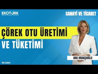 Fatih Eke | Ahu Orakçıoğlu | Sanayi ve Ticaret