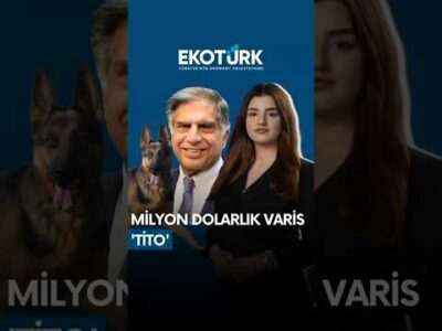 🐶 Milyon dolarlık varis 'Tito'